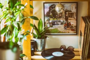 Como Renovar a Sua Casa com Plantas: Dicas Práticas e Inspiradoras