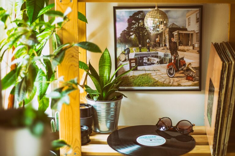 Como Renovar a Sua Casa com Plantas: Dicas Práticas e Inspiradoras